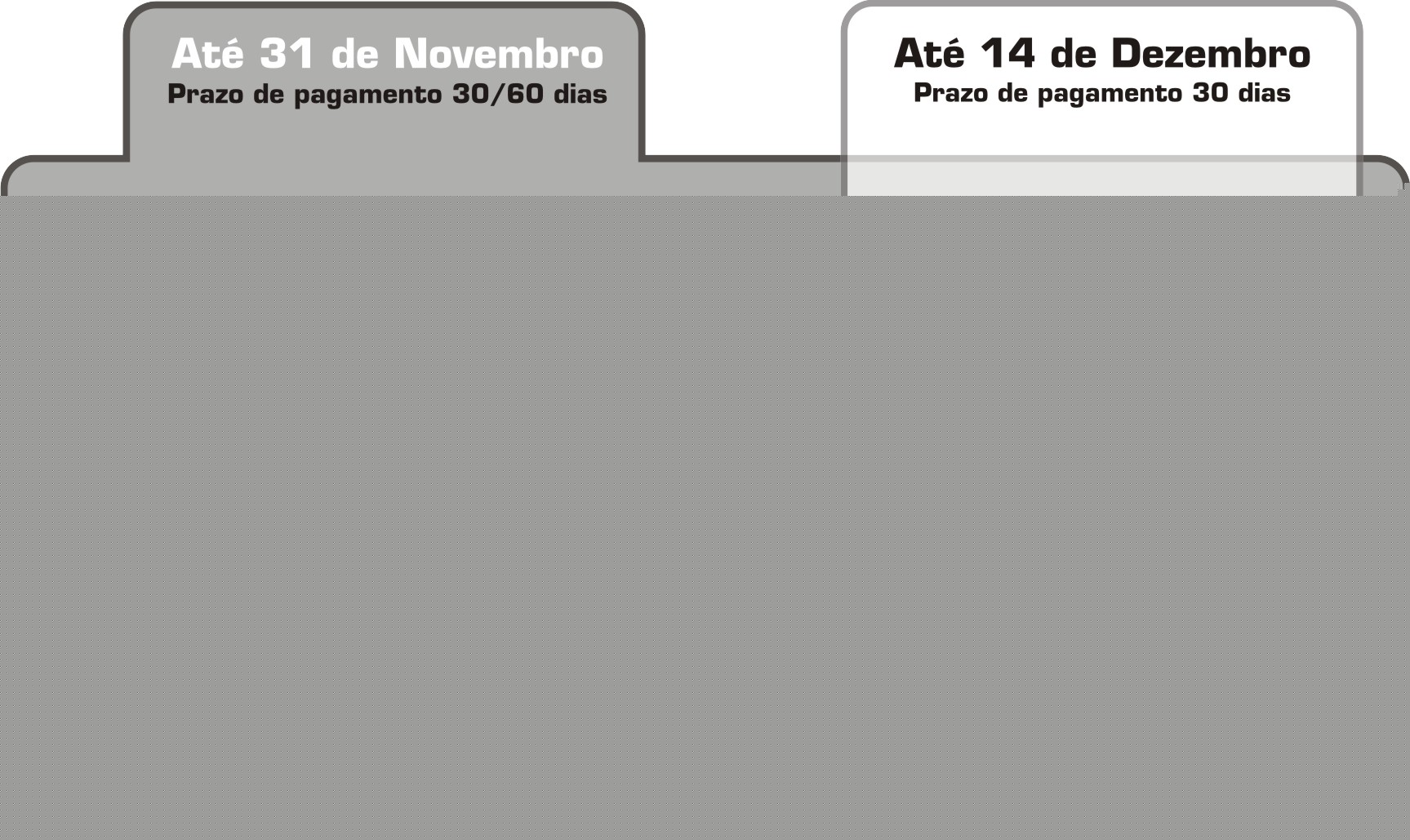 Condi&Aacute;&otilde;es da promocao do termovisor FLIR T420
